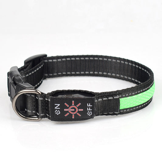 GlowPup™ LED Safety Collar